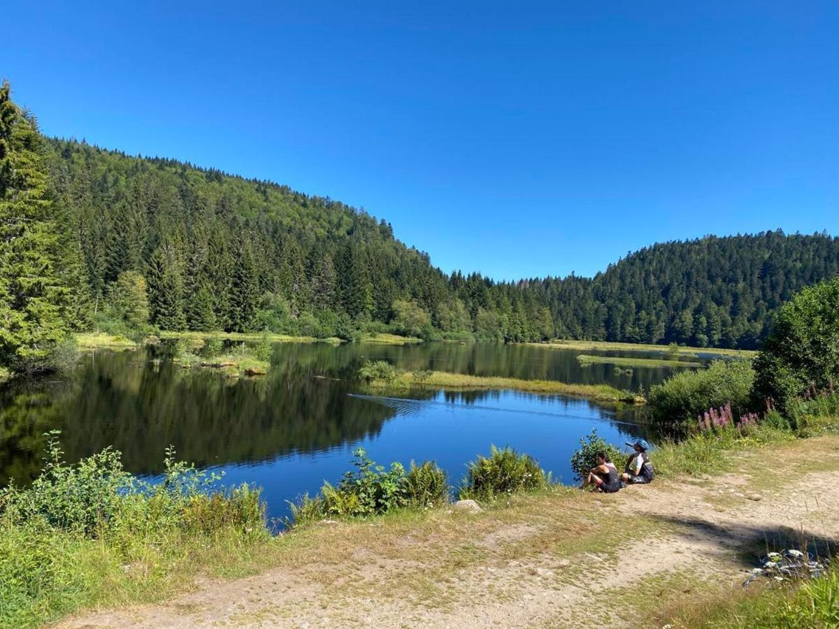 Chalet Spa Le Royal Nathalie Mn La Rouge La Bresse Dış mekan fotoğraf