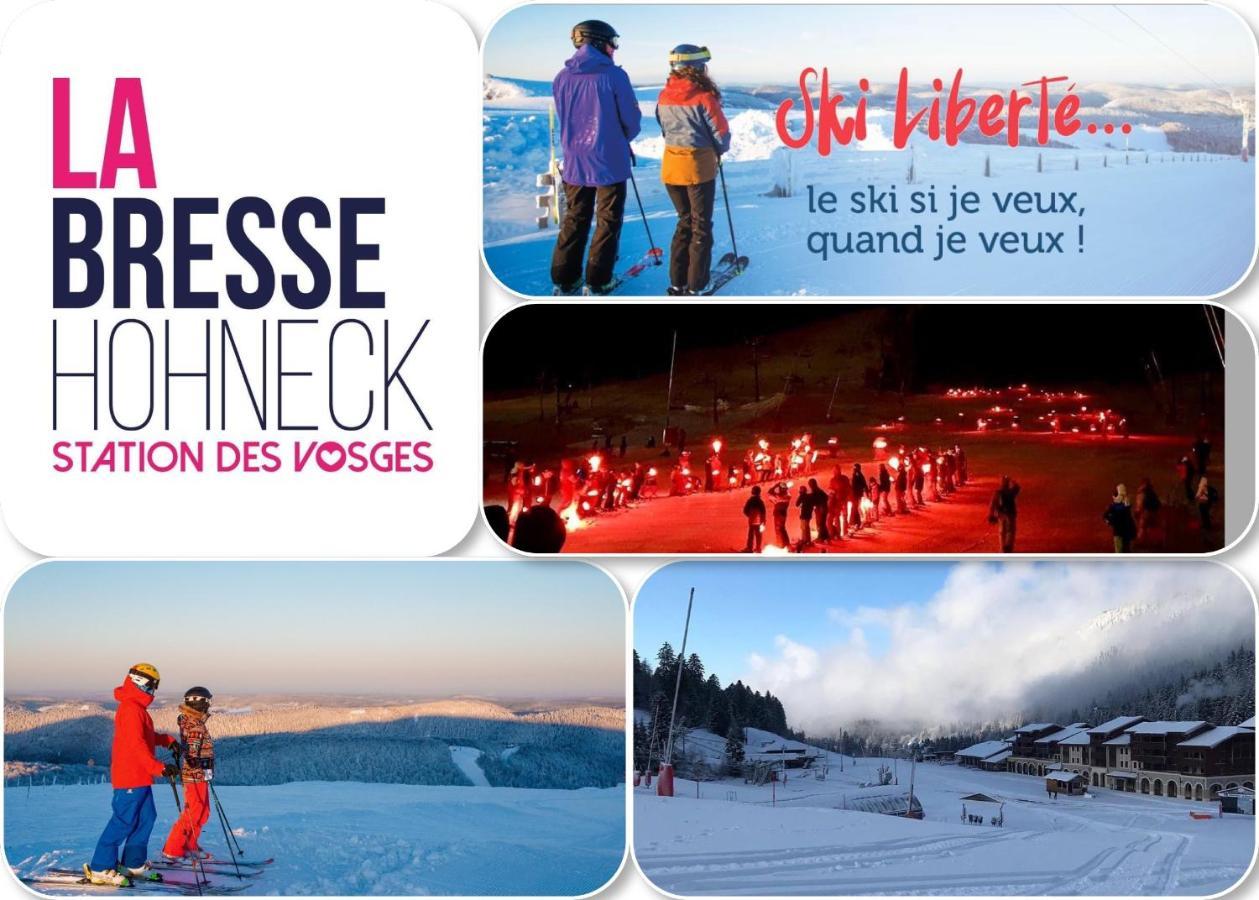 Chalet Spa Le Royal Nathalie Mn La Rouge La Bresse Dış mekan fotoğraf