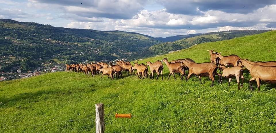 Chalet Spa Le Royal Nathalie Mn La Rouge La Bresse Dış mekan fotoğraf