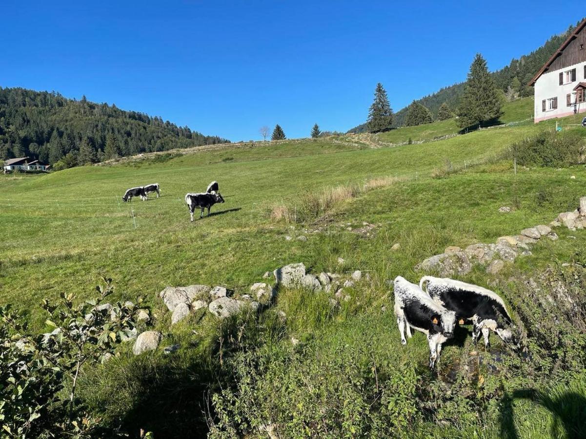 Chalet Spa Le Royal Nathalie Mn La Rouge La Bresse Dış mekan fotoğraf