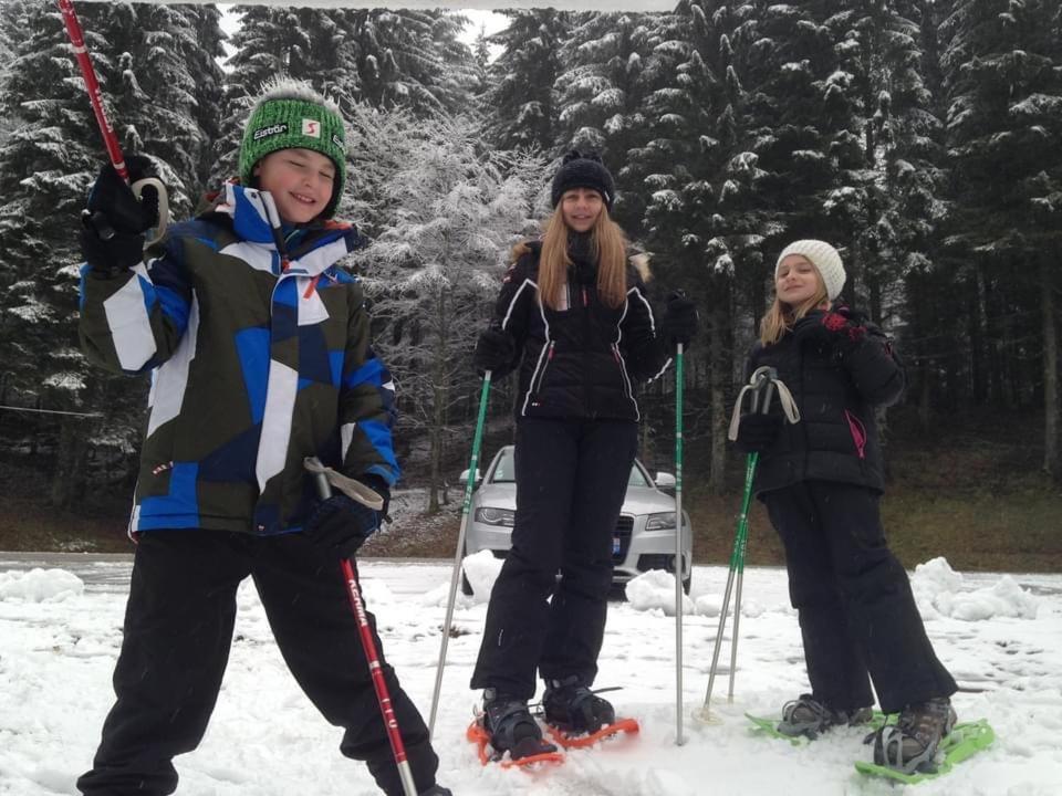 Chalet Spa Le Royal Nathalie Mn La Rouge La Bresse Dış mekan fotoğraf
