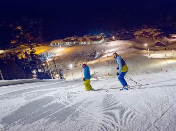 Chalet Spa Le Royal Nathalie Mn La Rouge La Bresse Dış mekan fotoğraf